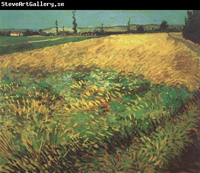 Vincent Van Gogh Wheat Field with the Alpilles Foothills in the Background (nn04)